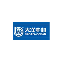 大洋电机